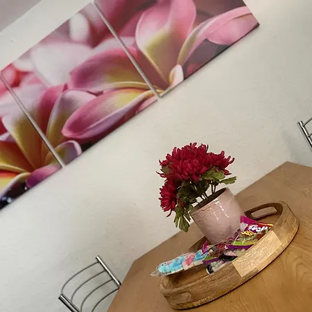 Appartement Grand T4 Et Ambiance Familiale *