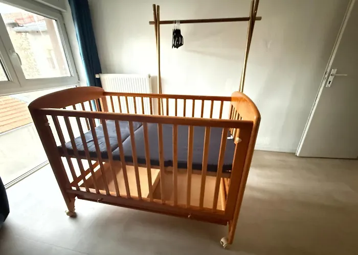 Apartment Spacious 4 Billiards, Chic And Friendly Atmosphere Luneville